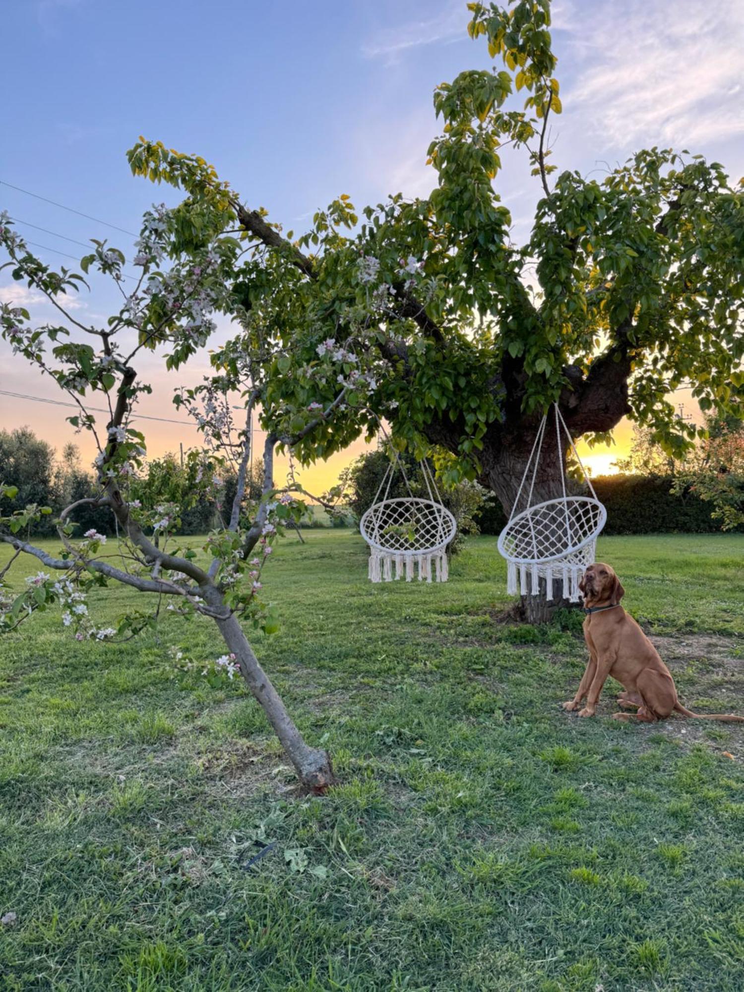 Agriturismo Le Grange นูมานา ภายนอก รูปภาพ